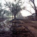 Pratt Drive, Filmore 2005
